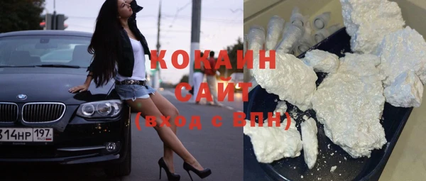 сатива Балахна