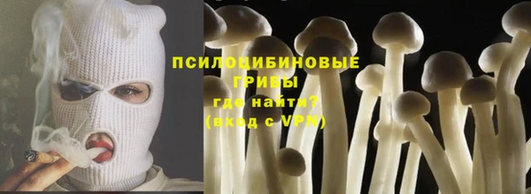 спайс Баксан