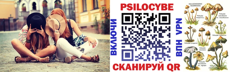 Псилоцибиновые грибы прущие грибы  Городец 