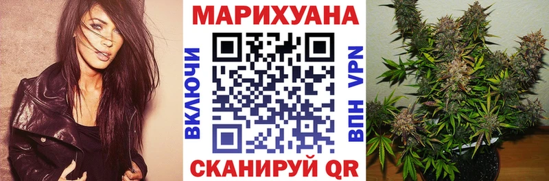 Бошки Шишки гибрид  Городец 